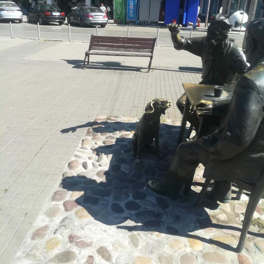 Suvi Centar Apartman Ni Kültér fotó